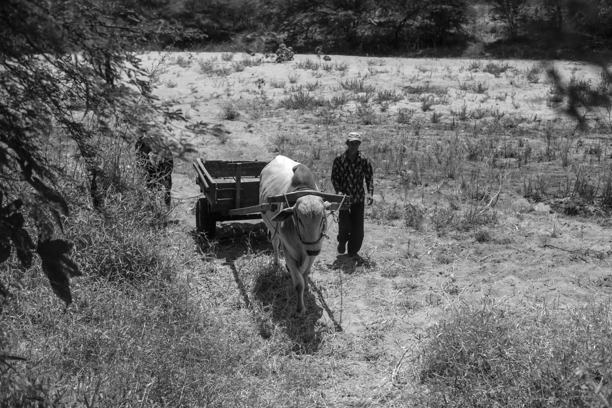 Fazenda Poco Das Pedras São João do Cariri Zewnętrze zdjęcie