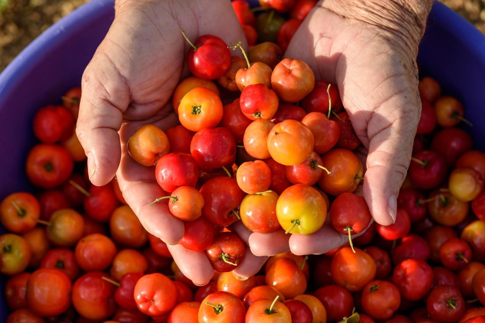 Fazenda Poco Das Pedras São João do Cariri Zewnętrze zdjęcie
