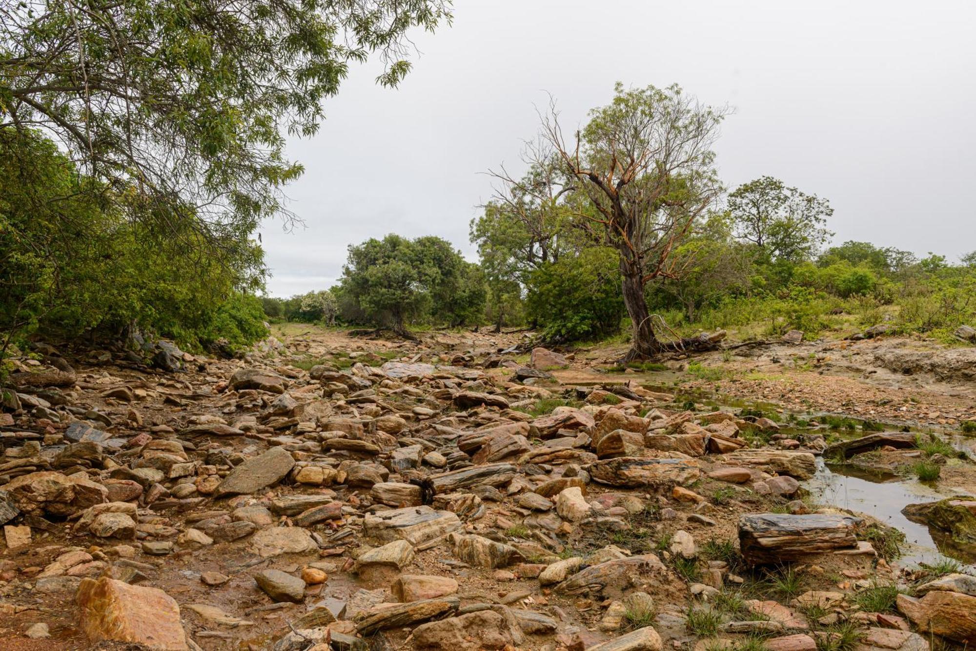 Fazenda Poco Das Pedras São João do Cariri Zewnętrze zdjęcie